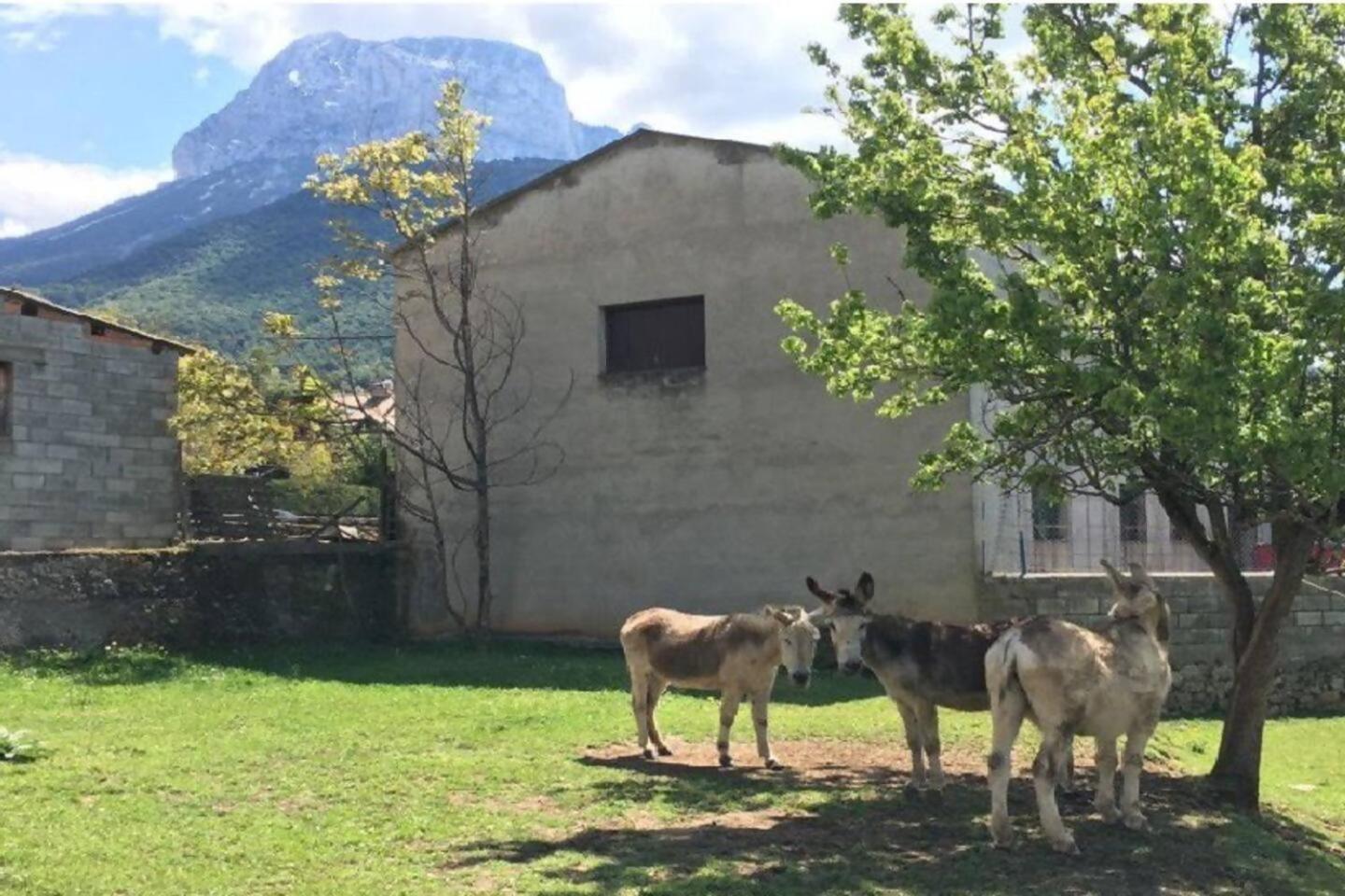 Duplex La Valle Ordesaainsa Laspuña Eksteriør billede